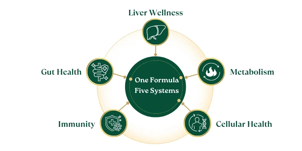 LIVORIS one formula supporting five wellness systems